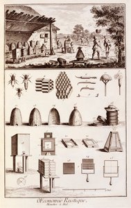 Biodling, från "Dictionary of Sciences", ca 1770 (se även 746839)
